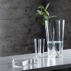 Iittala AALVAR AALTO Wazon do Kwiatów 25 cm / Przezroczysty